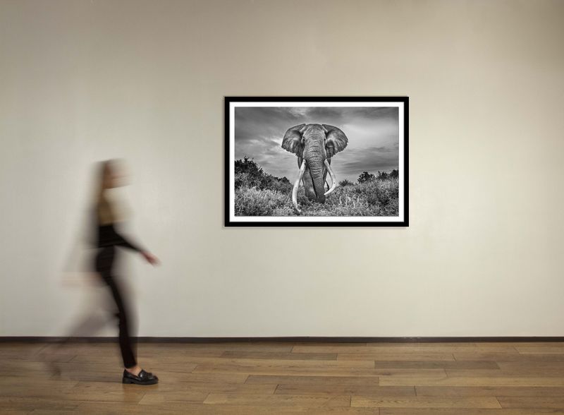 40 x 60 in., edition of 15